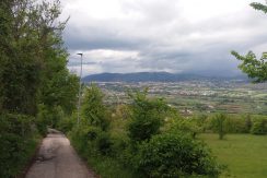 VENDE TERRENO EDIFICABILE – SAN BENEDETTO DI BAGNO VENDE TERRENO EDIFICABILE – SAN BENEDETTO DI BAGNO
