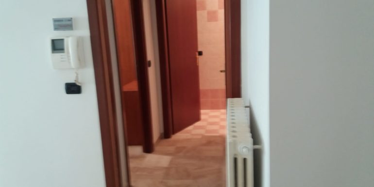 PHOTO-2020-02-27-10-55-03