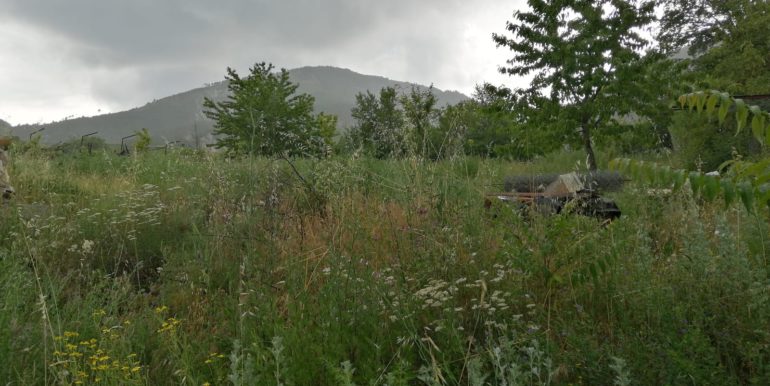 PHOTO-2020-07-07-12-38-56 2