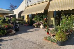 VENDE ATTIVITA’ DI FIORAIO – PIZZOLI VENDE ATTIVITA’ DI FIORAIO – PIZZOLI