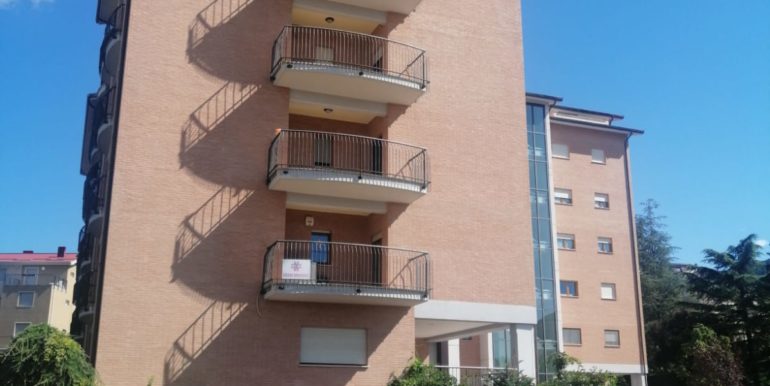 PHOTO-2021-11-12-09-50-14 2