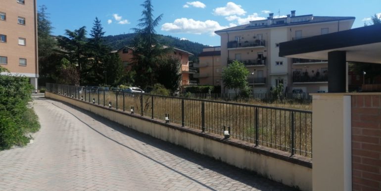 PHOTO-2021-11-12-09-50-14 7