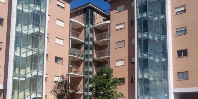 PHOTO-2021-11-12-09-50-15 copia