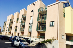 AFFITTA APPARTAMENTO – PETTINO AFFITTA APPARTAMENTO – PETTINO