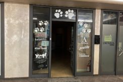 VENDE LOCALE COMMERCIALE – PEGASO