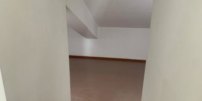 PHOTO-2023-04-14-16-39-51 6