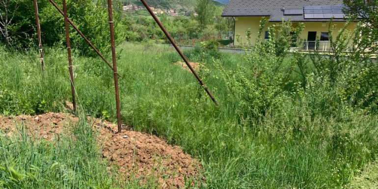 PHOTO-2023-05-12-17-15-17 2