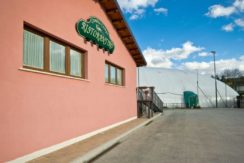 VENDE ATTIVITA’ – SASSA VENDE ATTIVITA’ – SASSA