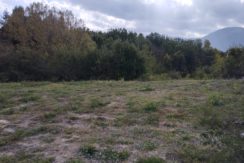 VENDE TERRENO – SCOPPITO