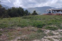 VENDE TERRENO – SCOPPITO