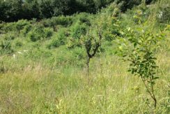 VENDE TERRENO – PAGLIARE DI SASSA