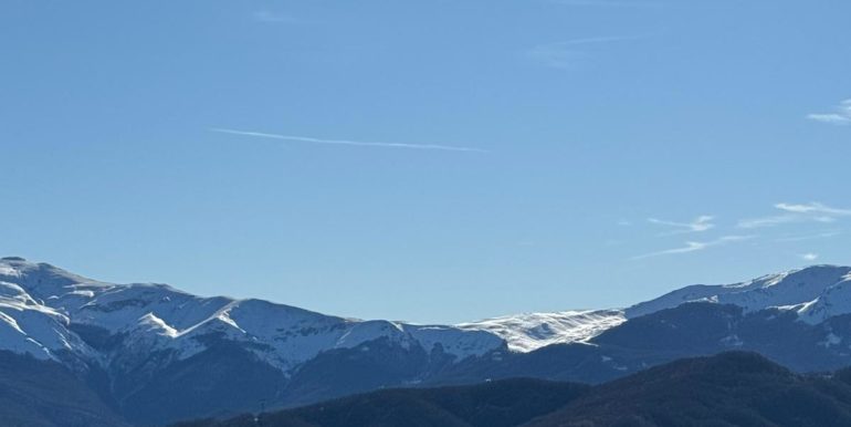IMG-20241208-WA0015