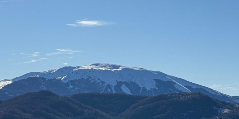 IMG-20241208-WA0016
