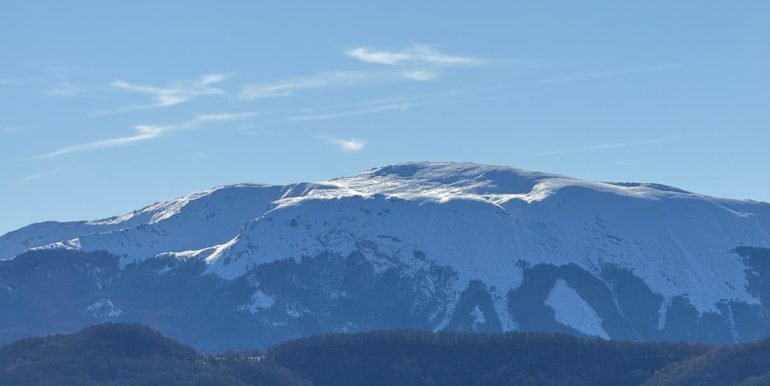 IMG-20241208-WA0033
