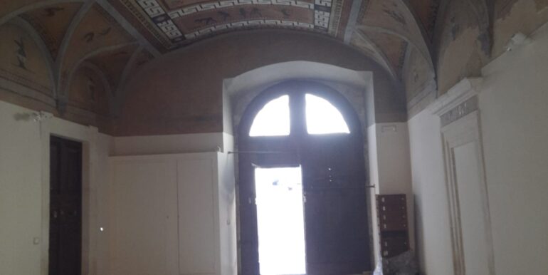 IMG-20250303-WA0012