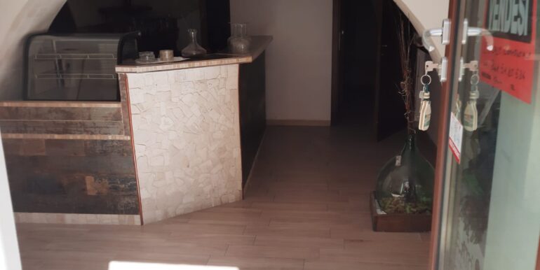 IMG-20250311-WA0010