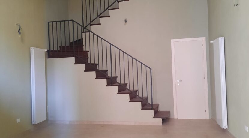 IMG-20250311-WA0012