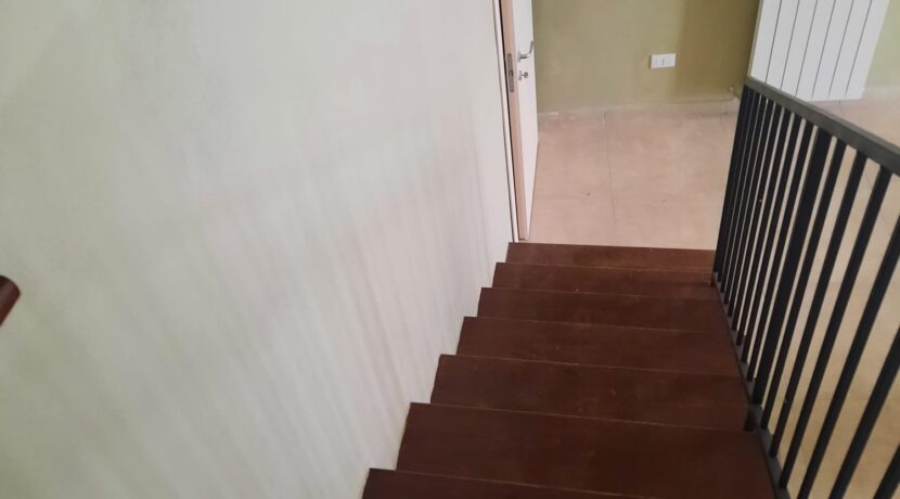 IMG-20250311-WA0013