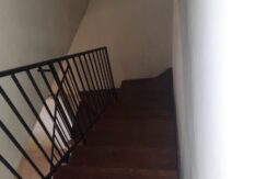 IMG-20250311-WA0014