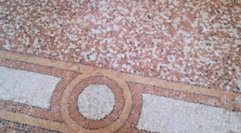 IMG-20250311-WA0016