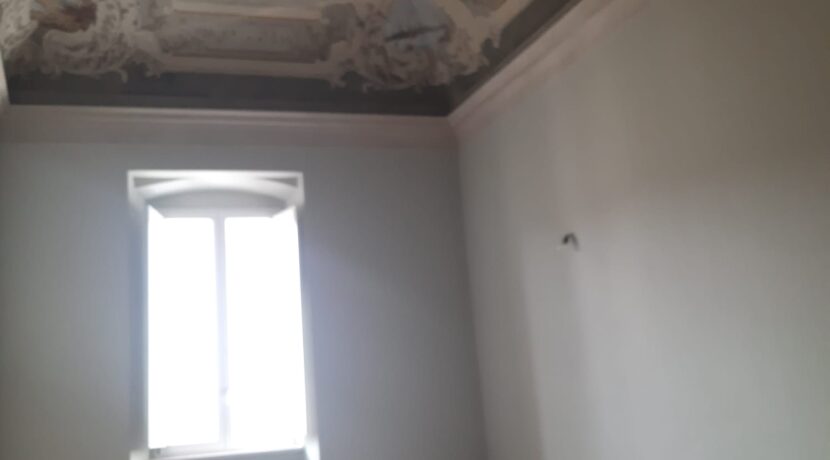 IMG-20250311-WA0018