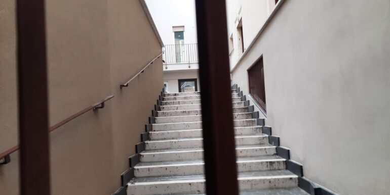 IMG-20250314-WA0018