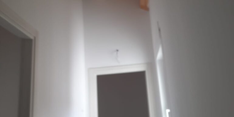 IMG-20250314-WA0047