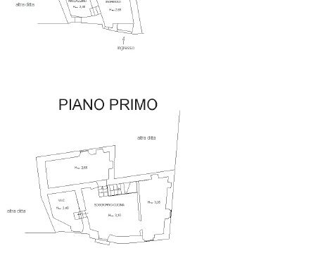 3-PIANTE