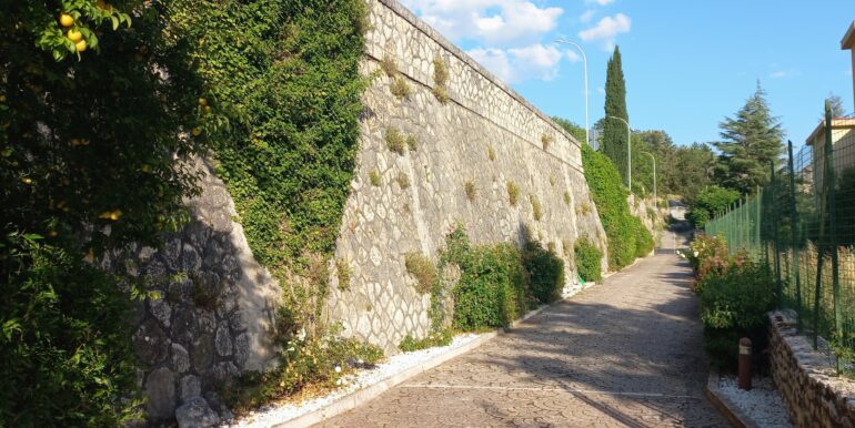 40 viale1