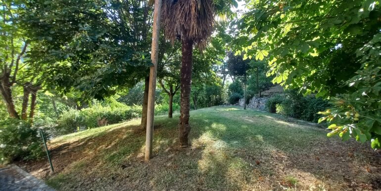 43 parco