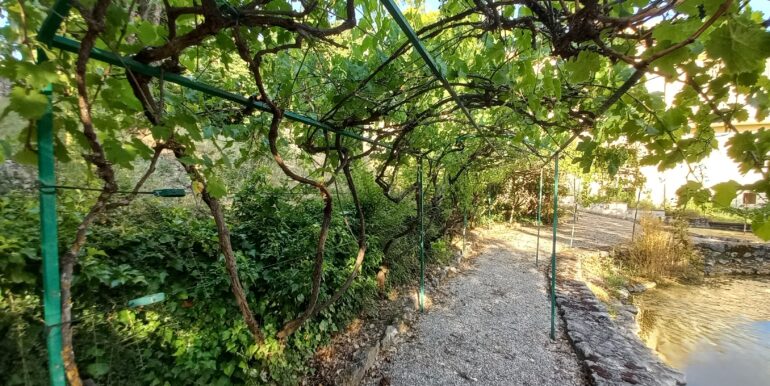 47 parco-pergolato