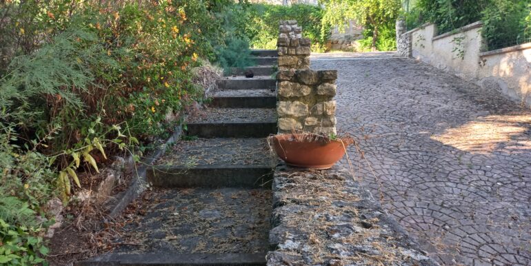 50a viale2