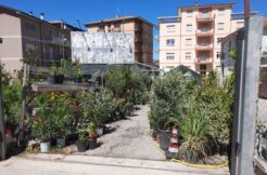 VENDE TERRENO – L’AQUILA