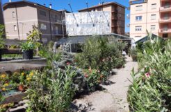 AFFITTA TERRENO – L’AQUILA AFFITTA TERRENO – L’AQUILA