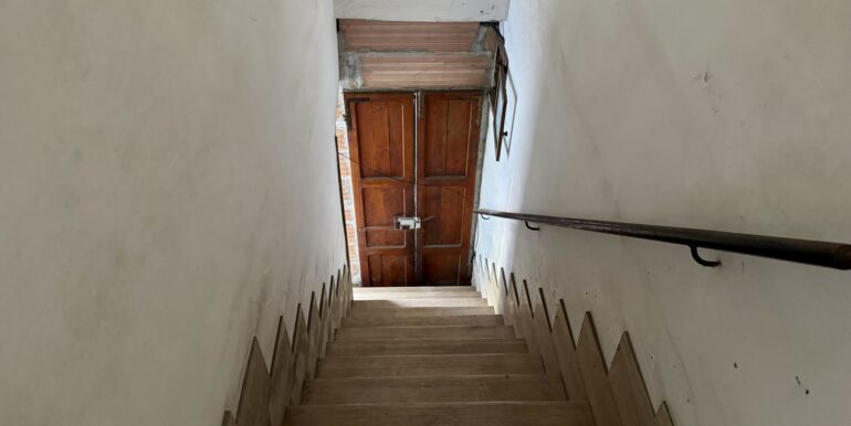 IMG_1979