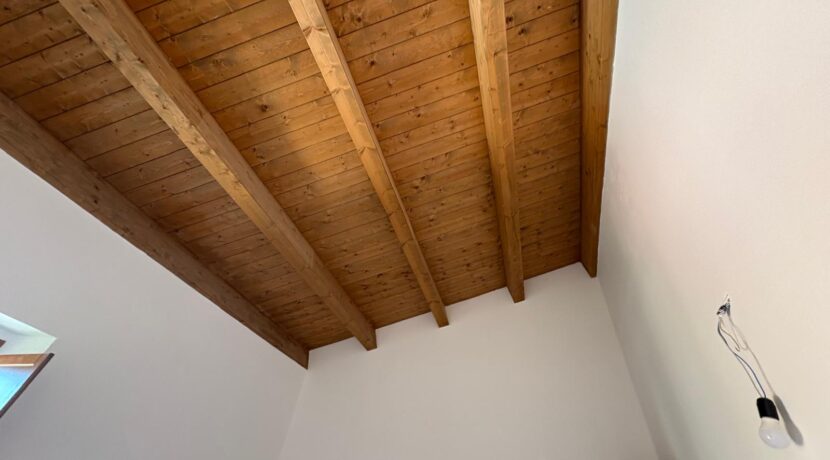 PHOTO-2025-08-07-19-19-33-1