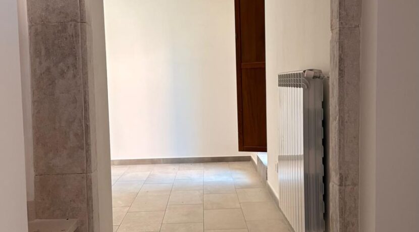 PHOTO-2025-08-07-19-19-33-4