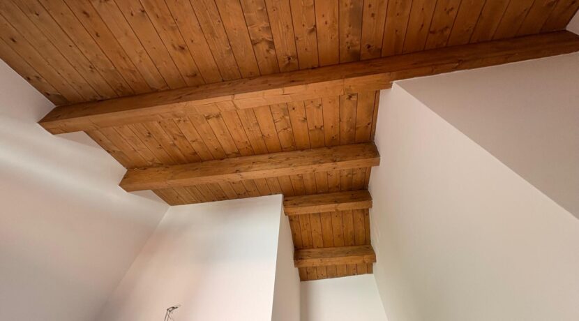 PHOTO-2025-08-07-19-19-33-5