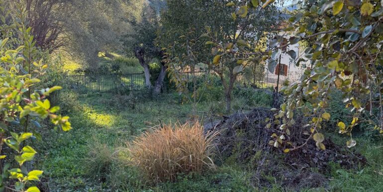 PHOTO-2025-10-08-19-33-05 8