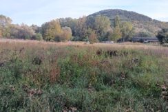 VENDE TERRENO AGRICOLO – PILE