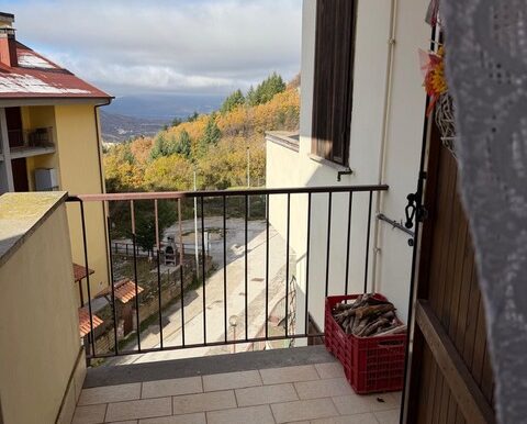 PHOTO-2025-12-01-16-35-07-1