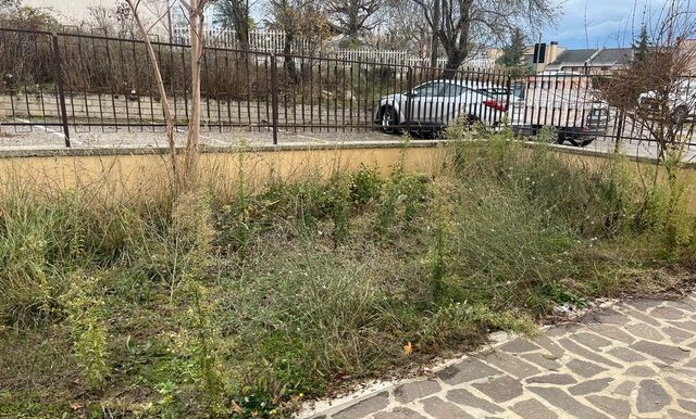 PHOTO-2025-12-02-13-32-42 2