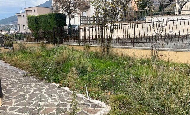 PHOTO-2025-12-02-13-32-42 3