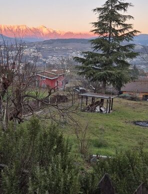 PHOTO-2026-01-27-16-41-44