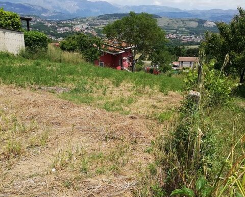 PHOTO-2026-01-27-16-41-44 4