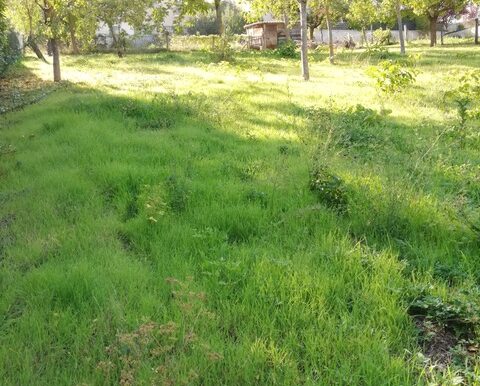 PHOTO-2026-01-27-16-41-44 5