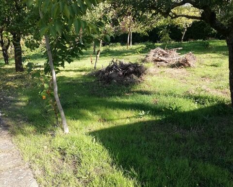 PHOTO-2026-01-27-16-41-44 6