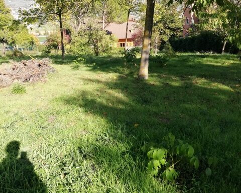 PHOTO-2026-01-27-16-41-44 7