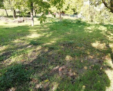 PHOTO-2026-01-27-16-41-44 8