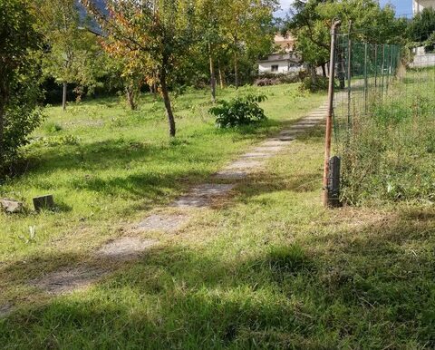 PHOTO-2026-01-27-16-41-44 9